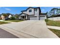 Charming two-story house featuring a wide driveway leading to a two-car garage, surrounded by lush green lawns at 12134 Creek Preserve Dr, Riverview, FL 33579