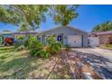 Charming home featuring a well-maintained lawn, and a delightful blue front door at 135 Coral Dr, Safety Harbor, FL 34695
