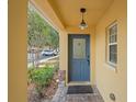 Inviting front entrance featuring a stylish blue door, brick accents, and a charming hanging light fixture at 3437 Dragon View Ct, Valrico, FL 33594