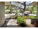 View of front yard landscaping featuring mature trees and plantings at 7402 America Way, New Port Richey, FL 34654