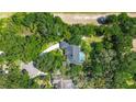An aerial view of a private residence showcasing its pool, and the surrounding trees at 17519 Drake Ct, Lutz, FL 33559