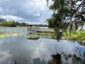 Beautiful lake view featuring a wooden pier with a covered gazebo surrounded by water lilies at 4127 Dolphin Dr # 4127, Tampa, FL 33617