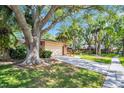 Well-maintained single-story home with a two-car garage, long driveway, and mature trees surrounding the property at 495 Palmdale Dr, Oldsmar, FL 34677