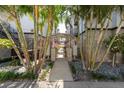 Charming walkway with palm trees leading to the apartments, landscaped with pebbles, plants, and flowers at 5008 S Macdill Ave # 10, Tampa, FL 33611