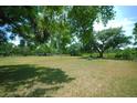 Large yard with mature trees providing shade and space at 934 Jerry Smith Rd, Dover, FL 33527