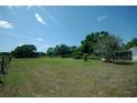 Large grassy yard with mature trees, offering ample space for outdoor activities and relaxation at 934 Jerry Smith Rd, Dover, FL 33527