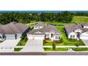 Beautiful one-story home with a well-maintained lawn and landscaping at 6253 Hidden Branch Dr, Apollo Beach, FL 33572