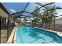 A refreshing screened-in swimming pool surrounded by tropical landscaping at 1615 Loghill Pl, Brandon, FL 33510