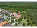 Aerial shot of the property showcasing the home's location near lush greenery and neighborhood at 3100 Barbour Trl, Odessa, FL 33556