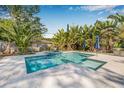 Inviting pool and spa surrounded by lush tropical landscaping, creating a private retreat at 4901 Venetian Ne Blvd, St Petersburg, FL 33703