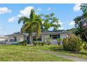 Eye-catching single Gathering home with palm trees, blue trim, and stone accents providing a unique look at 1099 7Th Ne Ave, Largo, FL 33770