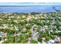 Stunning aerial view of a lush residential neighborhood near a bay, with mature trees and well-maintained homes at 511 San Jose Dr, Dunedin, FL 34698
