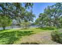 Lush backyard with mature trees leading to a tranquil waterfront, complete with a private dock and serene views at 9303 Alice Ln, Riverview, FL 33578