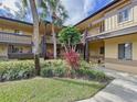 Exterior of the condo showing landscaping, palms and stairs leading to upper level units at 2679 Sabal Springs Cir # 102, Clearwater, FL 33761