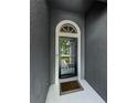 Close-up of the home's front door at 382 Tavernier Cir, Oldsmar, FL 34677