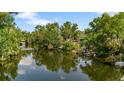 Scenic water view showcasing lush greenery reflecting in the tranquil river with docks at 4112 Alafia Blvd, Brandon, FL 33511