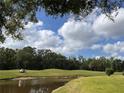 Picturesque golf course scene with a pond and a golf cart on a sunny day at 5132 Pinnacle Dr, Oldsmar, FL 34677