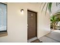 Exterior door to condo with 'B' marking and adjacent exterior light at 11807 Raintree Lake Ln # B, Tampa, FL 33617