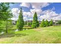 Scenic backyard view with lush green grass, mature trees, and a tranquil pond at 1134 Tracey Ann Loop, Seffner, FL 33584