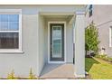 Inviting home entrance featuring a modern door with glass panels and sidelights at 2019 Wild Heron Ct, Valrico, FL 33596