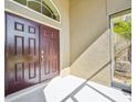 Close-up of a double front door with sidelight and transom window at 2417 Cumberland Cliff Dr, Ruskin, FL 33570