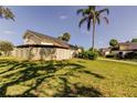 Backyard view with mature palms and an open yard at 2600 Forest Run Ct, Clearwater, FL 33761