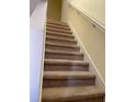 Carpeted staircase with white railing leading to the upper level at 2950 Willowleaf Ln, Wesley Chapel, FL 33544