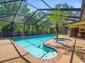 Enclosed pool and spa area with palm tree, and adjacent outdoor entertainment space at 3309 Westmoreland Dr, Tampa, FL 33618