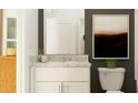 Bathroom features a white vanity with granite countertop, white toilet and neutral wall art at 17504 Nectar Flume Dr, Land O Lakes, FL 34638