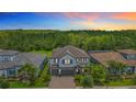 Aerial view of a two-story house surrounded by green trees in a suburban neighborhood at 18203 Pine Hammock Blvd, Lutz, FL 33548