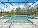 Screened-in pool and spa area with stone deck, sun loungers, and views of surrounding trees at 18203 Pine Hammock Blvd, Lutz, FL 33548
