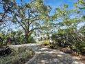 Beautifully landscaped front yard with a winding stone path at 3603 E Sterling Cir, Tampa, FL 33629