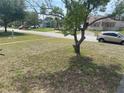 Residential street view featuring well-maintained lawns, mature trees, and neighborhood homes on a sunny day at 2435 37Th N Ave, St Petersburg, FL 33713