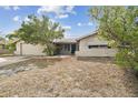 Single-story home featuring an attached garage and front yard with a large tree at 8907 Pandora Ln, Port Richey, FL 34668