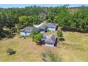 Overhead view of a cozy single-story home enveloped by mature trees and lush greenery at 101 N Taylor Rd, Seffner, FL 33584