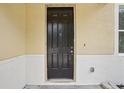 Close-up of a dark brown front door with classic panel design and modern hardware at 13506 Copper Belly Ct, Riverview, FL 33569