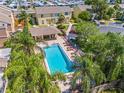 Aerial view of a community pool with lounge chairs surrounded by tropical palm trees at 1577 Chateaux De Ville Ct, Clearwater, FL 33764