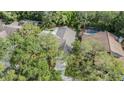 An aerial view showcasing the property's backyard with a pool, surrounded by lush greenery and mature trees at 614 Fayette S Dr, Safety Harbor, FL 34695