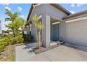 Inviting front entrance with a blue door, lush landscaping, and a two-car garage at 10433 Alder Green Dr, Riverview, FL 33578