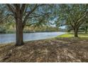 Lush backyard with mature trees that provide shade, a tranquil lake view, and a relaxing spot to sit by the water at 10506 Sky Flower Ct, Land O Lakes, FL 34638