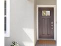This home features a stylish front door with glass inset, and decorative trim at 10998 Gable Dig Loop, San Antonio, FL 33576