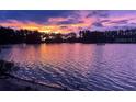 Scenic lake view at dusk with vibrant sky colors reflected in the calm water at 6341 Discovery Ln, Land O Lakes, FL 34638
