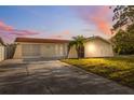 Inviting single-story home featuring a long driveway and a well-maintained lawn with a small palm tree at 7325 Calder Dr, New Port Richey, FL 34653