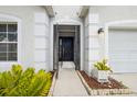 Inviting front entrance with a decorative doorway, landscaped walkway, and accent plants at 12008 Fern Blossom Dr, Gibsonton, FL 33534