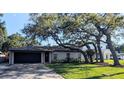 Charming single-story home featuring a well-manicured lawn and mature tree shading the front at 2904 W Marlin Ave, Tampa, FL 33611