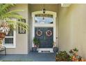 Inviting double front doors with decorative wreaths and potted plants at 4511 Swift Cir, Valrico, FL 33596