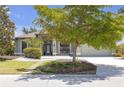 Landscaped front yard of single-story home featuring mature trees and manicured lawn at 4535 29Th Avenue E Cir, Palmetto, FL 34221