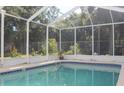 Sparkling screened-in swimming pool with a clear blue water and a ladder for easy access at 11312 Brussels Boy Ln, Riverview, FL 33578