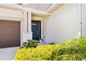 Close up of the covered entry with a blue front door and yellow bushes at 2644 Leafwing Ct, Palm Harbor, FL 34683