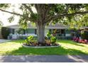 Inviting front yard showcasing a mature shade tree, colorful landscaping, and a charming home facade at 12021 144Th St, Largo, FL 33774